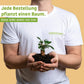 Bio Hanfsamen CBD Öl Vollspektrum