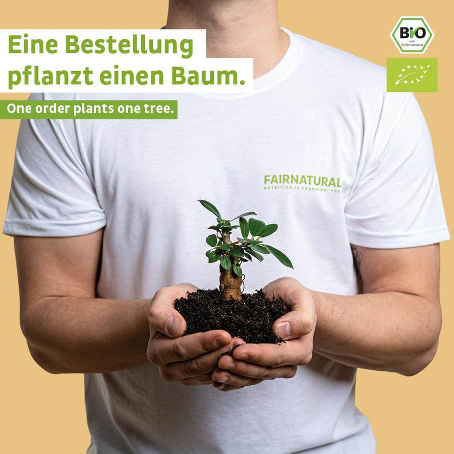 Bio Starter Bundle Vegetarisch